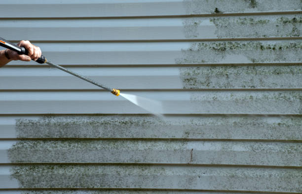 Best Local Mold Removal Service  in Hugoton, KS