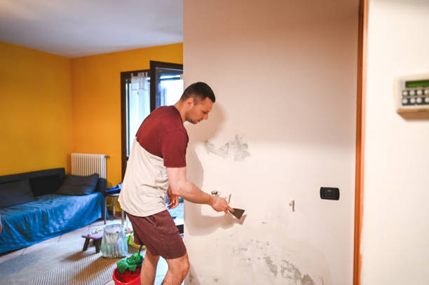 Best Mold Remediation Experts  in Hugoton, KS