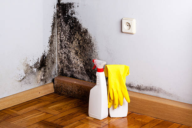 Best Water Damage Restoration  in Hugoton, KS